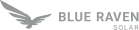 blue-raven